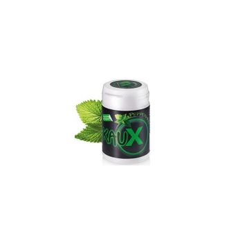 KauX Dental Kaugummi mit Xylitol (40st)